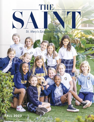 The Saint cover photo.